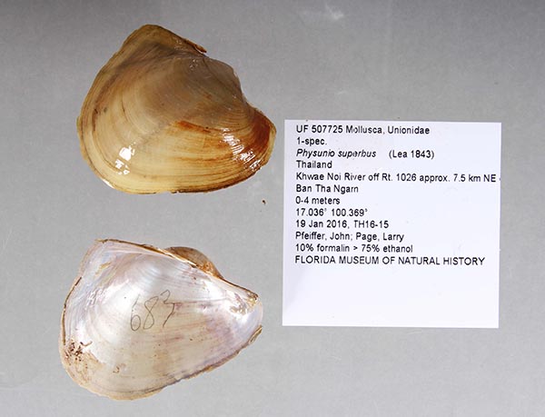 image of lot UF_507725