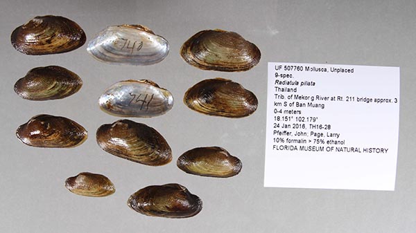 image of lot UF_507760