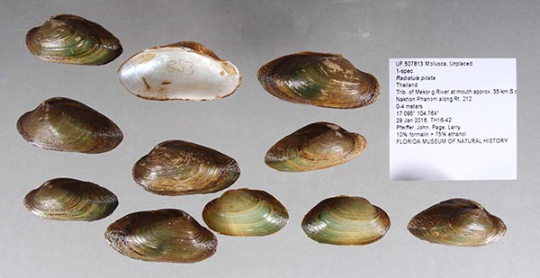 image of lot UF_507813