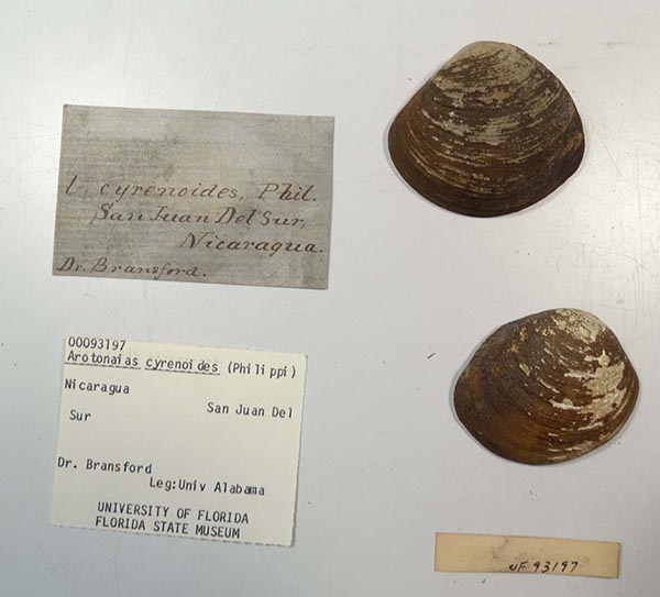 image of lot UF_93197