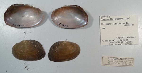 image of lot UF_93212