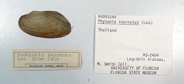 image of lot UF_93244