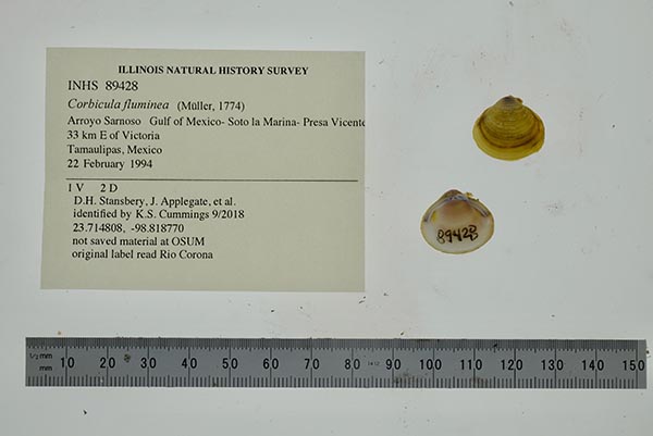 image of lot INHS_89428