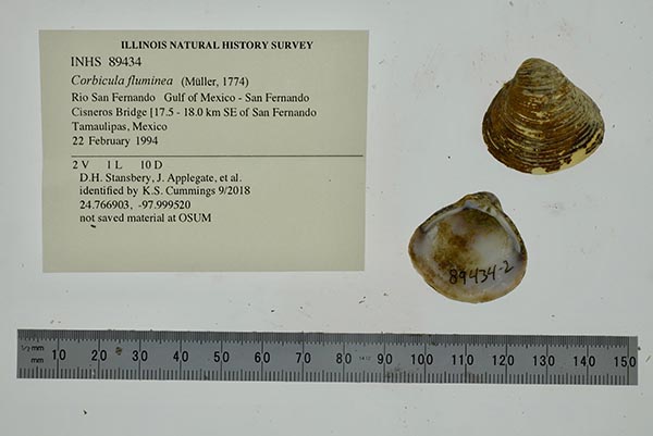 image of lot INHS_89434