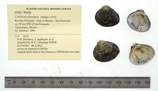 image of lot INHS_89426