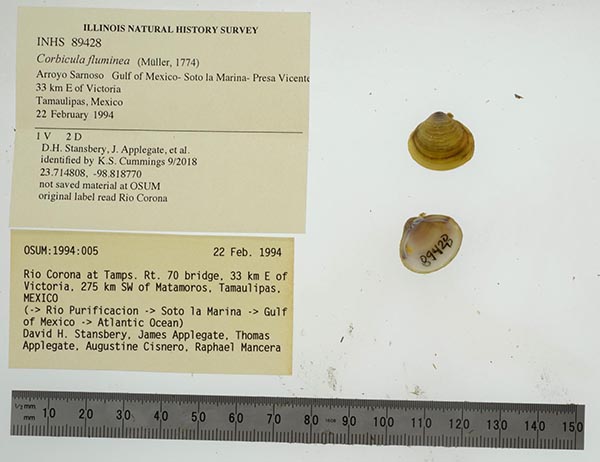 image of lot INHS_89428