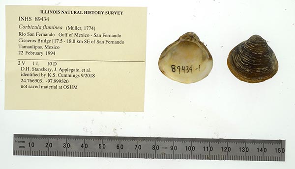 image of lot INHS_89434