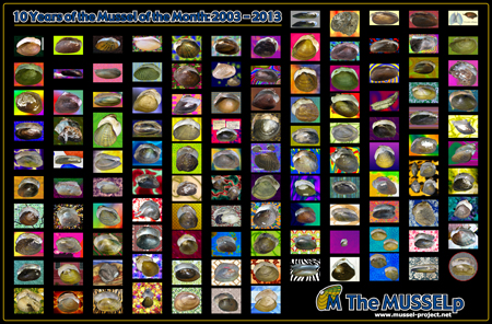 Unionoida cum Grano Salis Poster