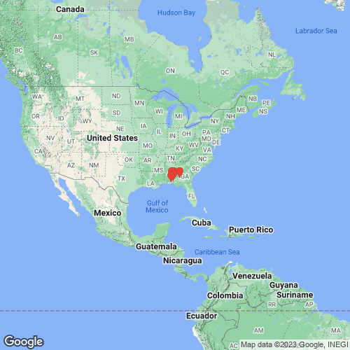 specimens map of Hamiota australis