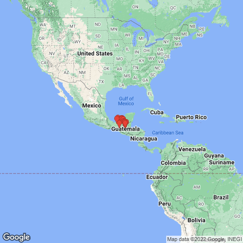 specimens map of Mesonaias explicata