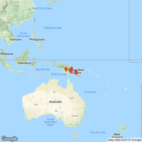 specimens map of Virgus beccarianus