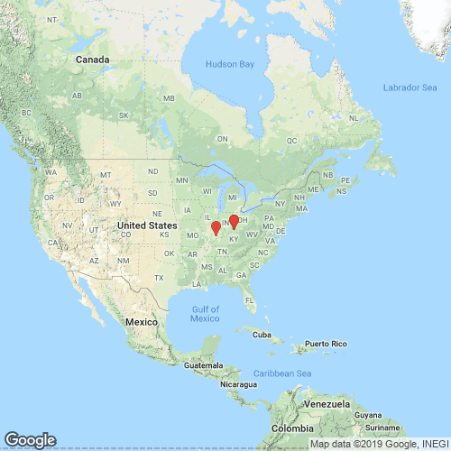 specimens map of Plethobasus cicatricosus specimens map of Plethobasus cicatricosus