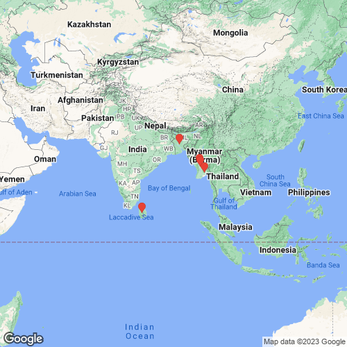 specimens map of Radiatula crispisulcata