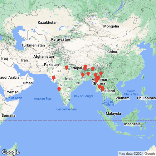 specimens map of Indonaia bonneaudii