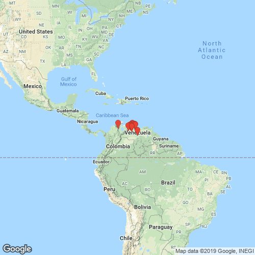 specimens map of Tamsiella tamsiana