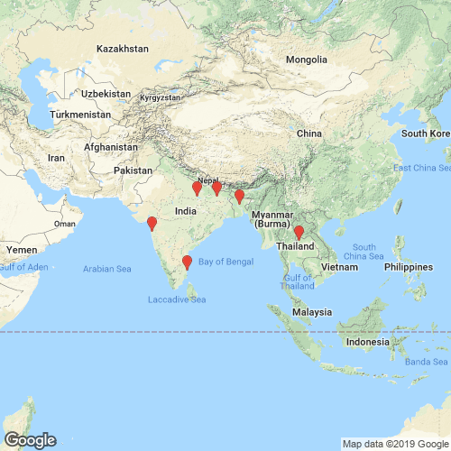 specimens map of Corbicula striatella
