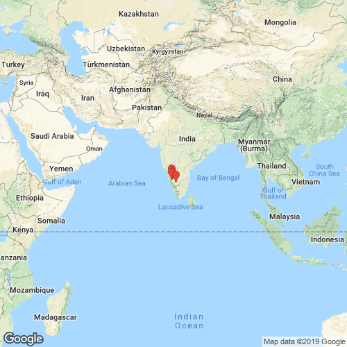specimens map of Pseudomulleria dalyi